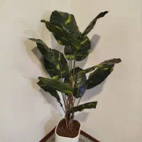 گل ها مصنوعی|گل مصنوعی|دورود, |دیوار