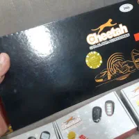 دزدگیر چیتا تصویری.