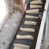 نیروی برشکار