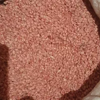 فروش گندم|خوردنی و آشامیدنی|سربند, |دیوار