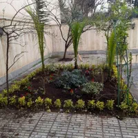 خدمات باغبانی تیلرزنی هرس کاری گل کاری و سمپاشی|خدمات باغبانی و درختکاری|مشهد, وکیل‌آباد|دیوار