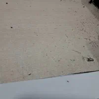 وردست برشکار/وردست قیچی کار