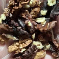 گردو محلی تازه|خوردنی و آشامیدنی|حمیدیا, |دیوار