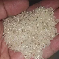 عرضه مستقیم برنج ایرانی سرگل|خوردنی و آشامیدنی|شاهرود, |دیوار