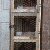جفت کنی کبوتر