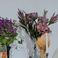 نیازمند نیرو جهت کار در منزل