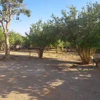 داخل بافت|فروش زمین و ملک کلنگی|ملارد, |دیوار