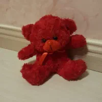 خرس کادویی ولنتاین ۲۰ سانتی کاملا نو