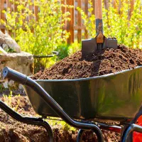 خاک باغچه مخلوط با کود حیوانی