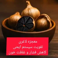 سیر سیاه