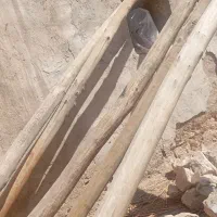 چوب سالم