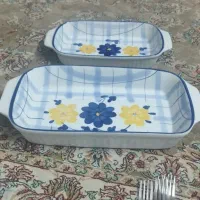 مرغ خوری گل پنبه کار کرده سالم ۵۵۰