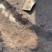 راننده نیسان