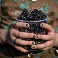 تمشک ارگانیک