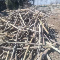 خرید چوب|خدمات باغبانی و درختکاری|ورامین, ورامین|دیوار