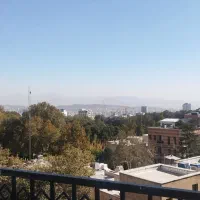 نیاوران 110متر تجاری مناسب پت شاپ