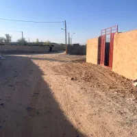 زمین باغی مهریز|فروش زمین و ملک کلنگی|مهریز, |دیوار