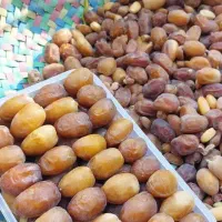 خرما و رطب کبکاب خشت