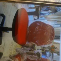 صندلی چرخدار گردون جکدارمدیریتی|صندلی و نیمکت|شیراز, پودنک|دیوار