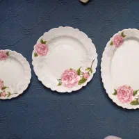 ظروف آرکوپال ۱۸ نفره