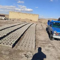 بلوک کول نر ماده