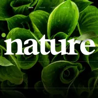 طراحی پاورپوینت وپوستر حرفهای خاص، تمیز ومتفاوت