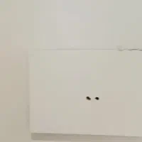 نقاش کناف