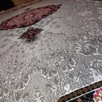 فرش ۱۲ متری نو|فرش|اردبیل, |دیوار