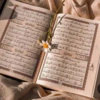 سرکتاب .