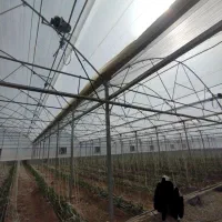 ساخت گلخانه