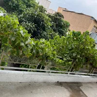 خوابگاه دخترانه قصرالدشت|اجارهٔ کوتاه‌مدت آپارتمان و سوئیت|شیراز, قصرالدشت|دیوار
