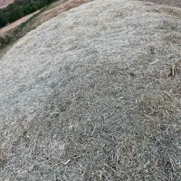 ۷خروار یونجه بدون علف