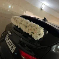 ماشین عروس و انواع باکس گل|گل و گیاه طبیعی|تهران, افسریه شمالی|دیوار