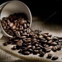 پخش قهوه  و تمام لوازم و اکسسوری  کافه|کافی‌شاپ و رستوران|لاهیجان, شیشه گران|دیوار