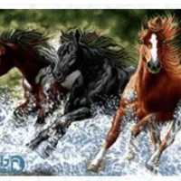 نقشه تابلو فرش