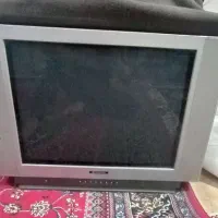 تلویزیون