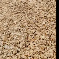 نون خشک