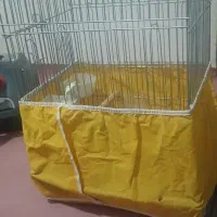 قفس پرنده