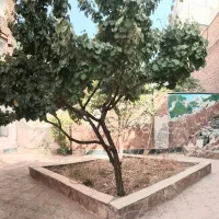 بهارستان۱۲۵متر(۹۲متر مسکونی و۳۳متر تجاری)(عموگلی)|فروش آپارتمان|مشهد, بهارستان|دیوار