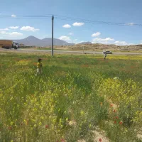 زمین به متراژ 200 متر