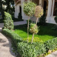 خدمات باغبانی درسراسر کرج