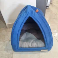 جا خواب سگ و گربه