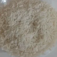 فروش برنج کشت دوم