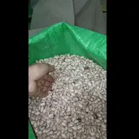 عرضه مستقیم لوبیا چیتی تهران(انواع حبوبات و غلات)