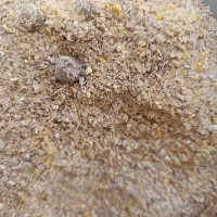 خوراک دام کنسانتره بره گوسفند