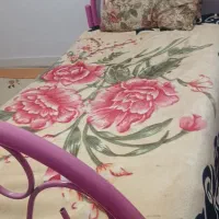 دوعدد تخت و تشک تک و دونفره مناسب باغ|تخت و سرویس خواب|زنجان, |دیوار