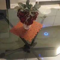 میز نهارخوری ۶ نفره|میز و صندلی غذاخوری|پردیس, فاز ۸|دیوار