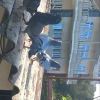 کبوتر دوبر