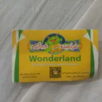 کارت شهربازی سرزمین عجائب