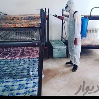 سم پاشی منازل اشپزخانه و باغ و باغچه|خدمات نظافت|محمدشهر, |دیوار